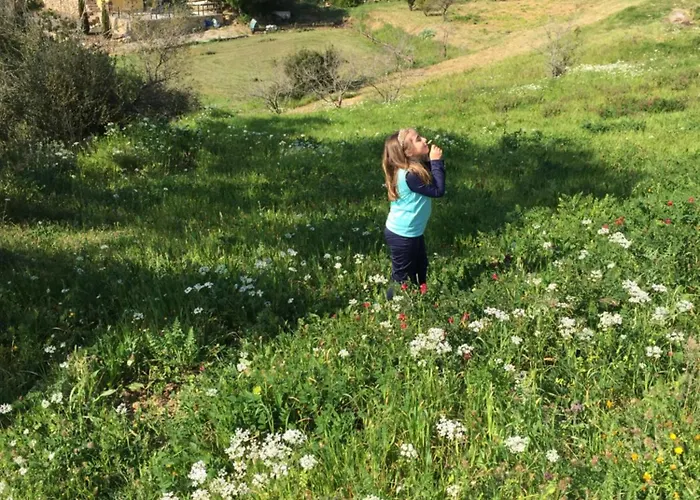 Tatil Evi Dai Tre Aratri Rossi Casa Buraccio