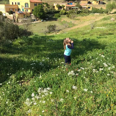 Holiday home Dai Tre Aratri Rossi Casa Buraccio