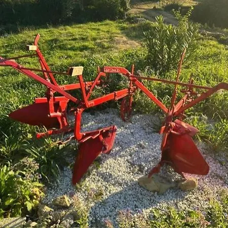 Dai Tre Aratri Rossi Casa Buraccio