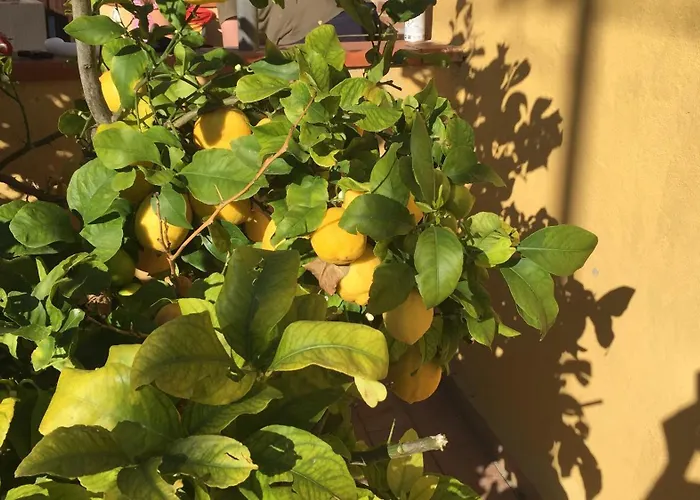 Dai Tre Aratri Rossi Dom wakacyjny